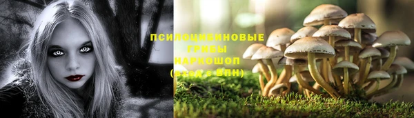 МДПВ Заволжье